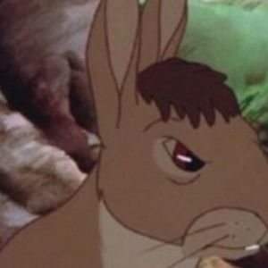 Meet your Posher, Noah